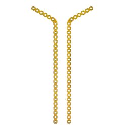 LOCKING ANGLED RECONSTRUCTION PLATES