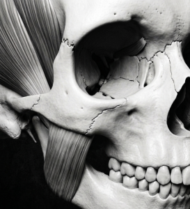 CRANIO MAXILLO FACIAL