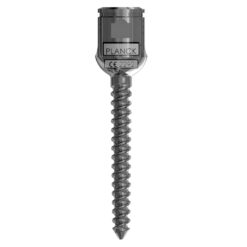 MONOAXIAL SCREWS